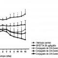 Ilustración 3 de Una composición farmacéutica para tratar una enfermedad relacionada con la obesidad que comprende un conjugado de péptido insulinotrópico