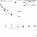 Ilustración 6 de Conjugado de factor viia - ácido (poli)siálico con una vida media in vivo prolongada