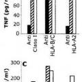 Ilustración 1 de Nuevo péptido antígeno del melanoma y usos del mismo.