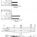 Ilustración 3 de Nuevo péptido antígeno del melanoma y usos del mismo