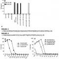 Ilustración 4 de Nuevo péptido antígeno del melanoma y usos del mismo.