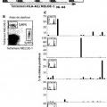 Ilustración 6 de Nuevo péptido antígeno del melanoma y usos del mismo