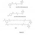 Ilustración 5 de Reactivos de marcado que llevan funciones diazo y nitro, procedimientos de síntesis de tales reactivos y procedimientos de detección de moléculas biológicas