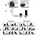 Ilustración 1 de Aislamiento y/o identificación de células madre con potencial de diferenciación adipocitario, condrocitario y pancreático