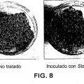 Ilustración 7 de Composiciones básicas que comprenden un alcanol y una sal de ácido graso o un glicérido de ácido graso para esterilizar un material