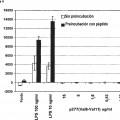Ilustración 4 de Péptidos hsp y análogos para la modulación de respuestas inmunes mediante células presentadoras de antígeno