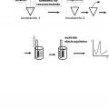 Ilustración 4 de Procedimiento para la detección magneto-electroquímica sin lavados de un analito en una muestra.