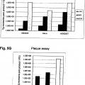 Ilustración 2 de Reorientación de parvovirus de rata H-1PV hacia células oncológicas mediante manipulación genética de su cápside