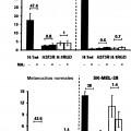 Ilustración 11 de Reorientación de parvovirus de rata H-1PV hacia células oncológicas mediante manipulación genética de su cápside