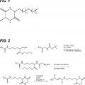 Ilustración 1 de Análogos sustituidos de dicetopiperazina para su uso como agentes para la administración de fármacos.