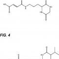 Ilustración 2 de Análogos sustituidos de dicetopiperazina para su uso como agentes para la administración de fármacos.