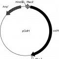 Ilustración 3 de Colagenasa de fusión a la que se une una marca de afinidad, y método para producir la misma