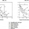 Ilustración 1 de Métodos para la predicción del resultado clínico para inhibidores del receptor del factor de crecimiento epidérmico para pacientes de cáncer