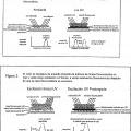 Ilustración 1 de Sistemas y métodos para crear efectos ópticos en medios para prevenir la falsificación