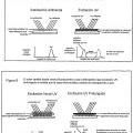 Ilustración 3 de Sistemas y métodos para crear efectos ópticos en medios para prevenir la falsificación
