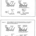 Ilustración 6 de Sistemas y métodos para crear efectos ópticos en medios para prevenir la falsificación