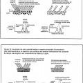 Ilustración 7 de Sistemas y métodos para crear efectos ópticos en medios para prevenir la falsificación