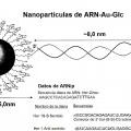 Ilustración 3 de Nanopartículas que comprenden ligandos de ARN.