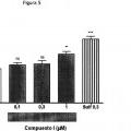 Ilustración 5 de Uso del 3-(2-isotiocianatoetil)-5-metoxi-1H-indol para el tratamiento de enfermedades neurodegenerativas