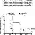 Ilustración 7 de Partículas de replicón de alfavirus que expresan TRP2