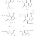 Ilustración 2 de Composiciones farmacéuticas que contienen derivados de extracto de lúpulo y cafeína.