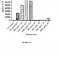 Ilustración 4 de Activación de respuestas inmunitarias innatas y adaptativas por parte de un extracto de ginseng