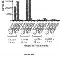 Ilustración 7 de Activación de respuestas inmunitarias innatas y adaptativas por parte de un extracto de ginseng