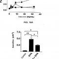 Ilustración 11 de Activación de respuestas inmunitarias innatas y adaptativas por parte de un extracto de ginseng