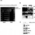 Ilustración 6 de ROS quinasa mutante y de translocación en el carcinoma pulmonar no microcítico humano