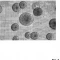 Ilustración 2 de Método para producir células progenitoras retinianas polarizadas a partir de células madre pluripotentes y su diferenciación para dar células del epitelio pigmentario retiniano.