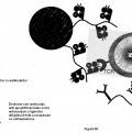 Ilustración 10 de Construcciones de moléculas MHC y sus usos para el diagnóstico y terapia
