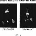 Ilustración 12 de Composiciones y métodos para la formación de imágenes celulares y terapia