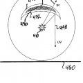 Ilustración 4 de Rodillo de presión con fuente de energía interna y procedimiento de laminación