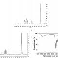 Ilustración 5 de Materiales poliméricos sólidos para la detección fluorogénica de explosivos nitroderivados y utilización de los mismos