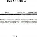 Ilustración 2 de NKG2D-Fc para la inmunoterapia.