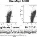 Ilustración 8 de NKG2D-Fc para la inmunoterapia