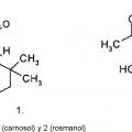 Ilustración 1 de Uso de composiciones que contienen carnosol y/o rosmanol