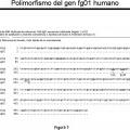 Ilustración 3 de Gen humano fg01 y sus aplicaciones