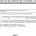 Ilustración 5 de Gen humano fg01 y sus aplicaciones
