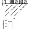 Ilustración 4 de Anticuerpos monoclonales contra la proteína RGM A y usos de los mismos.
