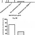 Ilustración 5 de Anticuerpos monoclonales contra la proteína RGM A y usos de los mismos