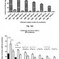 Ilustración 11 de Anticuerpos monoclonales contra la proteína RGM A y usos de los mismos