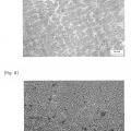 Ilustración 4 de Implantes que comprenden metales biodegradables y procedimiento para la fabricación de los mismos.