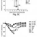 Ilustración 5 de Vacunación con vectores poxvirales mediante alteración mecánica epidérmica