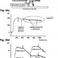 Ilustración 8 de Un complejo de anticuerpo biespecífico y digoxigenina conjugada a un agente terapéutico o de diagnóstico