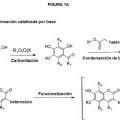 Ilustración 1 de 7-Hidroxicumarinas sustituidas con heterociclo reactivas y sus conjugados.