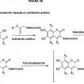 Ilustración 2 de 7-Hidroxicumarinas sustituidas con heterociclo reactivas y sus conjugados