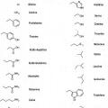 Ilustración 1 de Conjugados de aminoácidos de la quetiapina, proceso para la elaboración y sus usos.