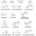 Ilustración 4 de Conjugados de aminoácidos de la quetiapina, proceso para la elaboración y sus usos.