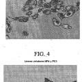 Ilustración 7 de Compuestos de éter de fosfolípido fluorescentes, composiciones y procedimientos de uso